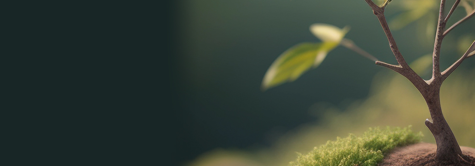 parallax background